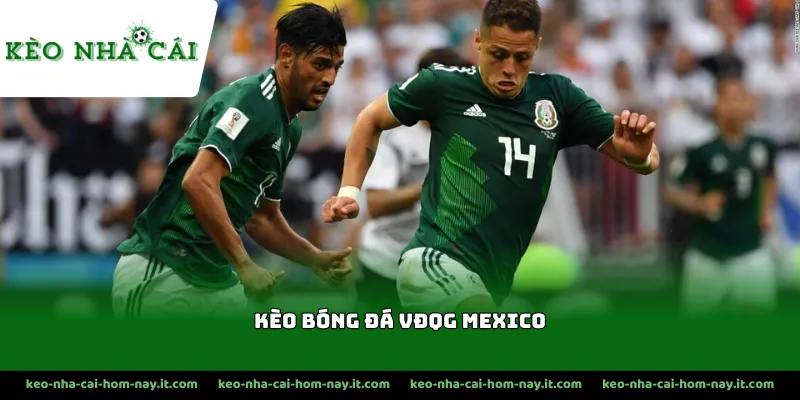 Các đặc điểm nổi bật của kèo VĐQG Mexico