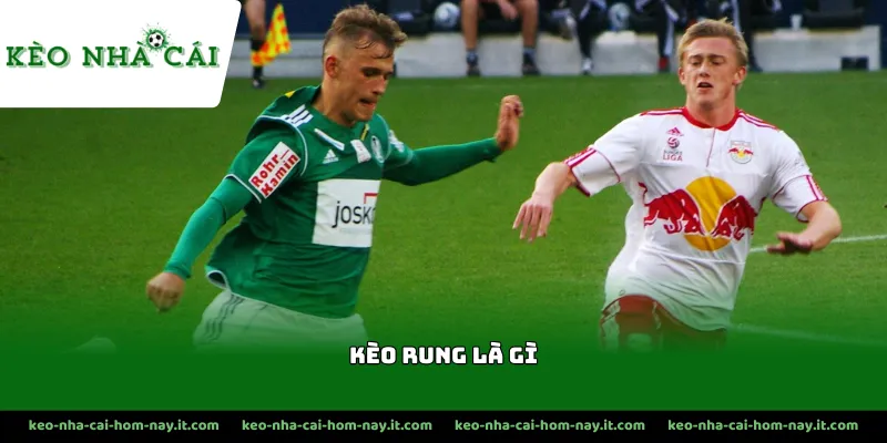 Đặc điểm để nhận biết kèo rung là gì