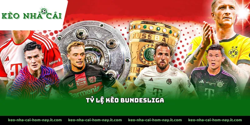 Điểm đặc trưng của tỷ lệ kèo Bundesliga